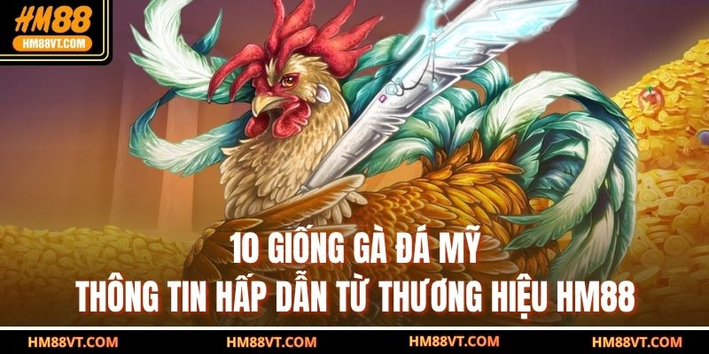 10 Giống Gà Đá Mỹ - Thông Tin Hấp Dẫn Từ Thương Hiệu HM88