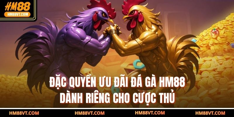 Đặc quyền ưu đãi đá gà HM88 dành riêng cho cược thủ 