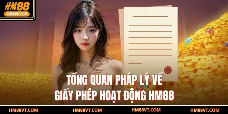 Tổng quan pháp lý về giấy phép hoạt động HM88 